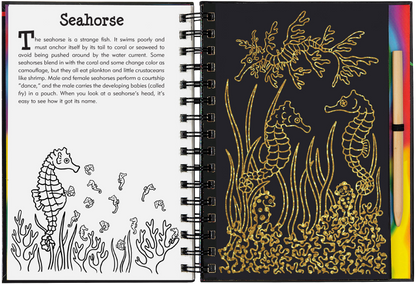 Coral Reefs Scratch and Sketch