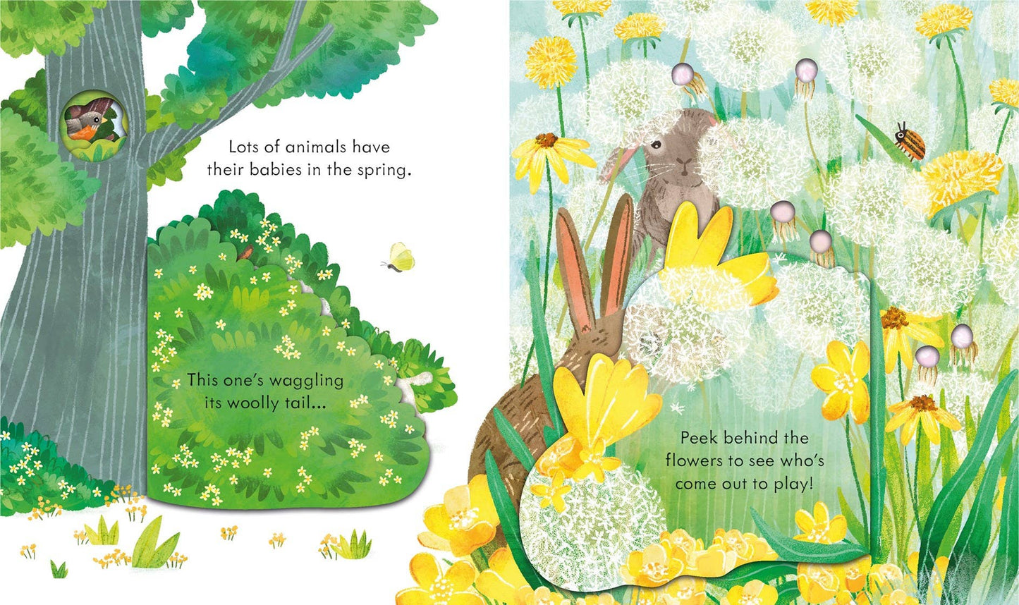 Peek Inside Springtime