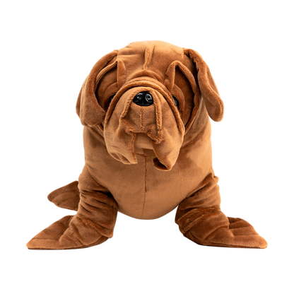 Sea Dog