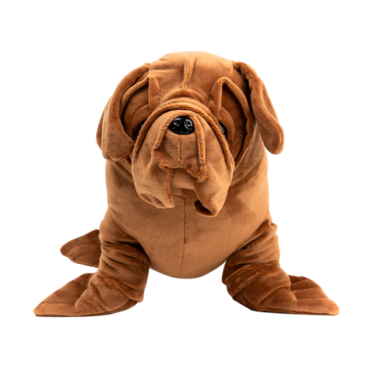 Sea Dog