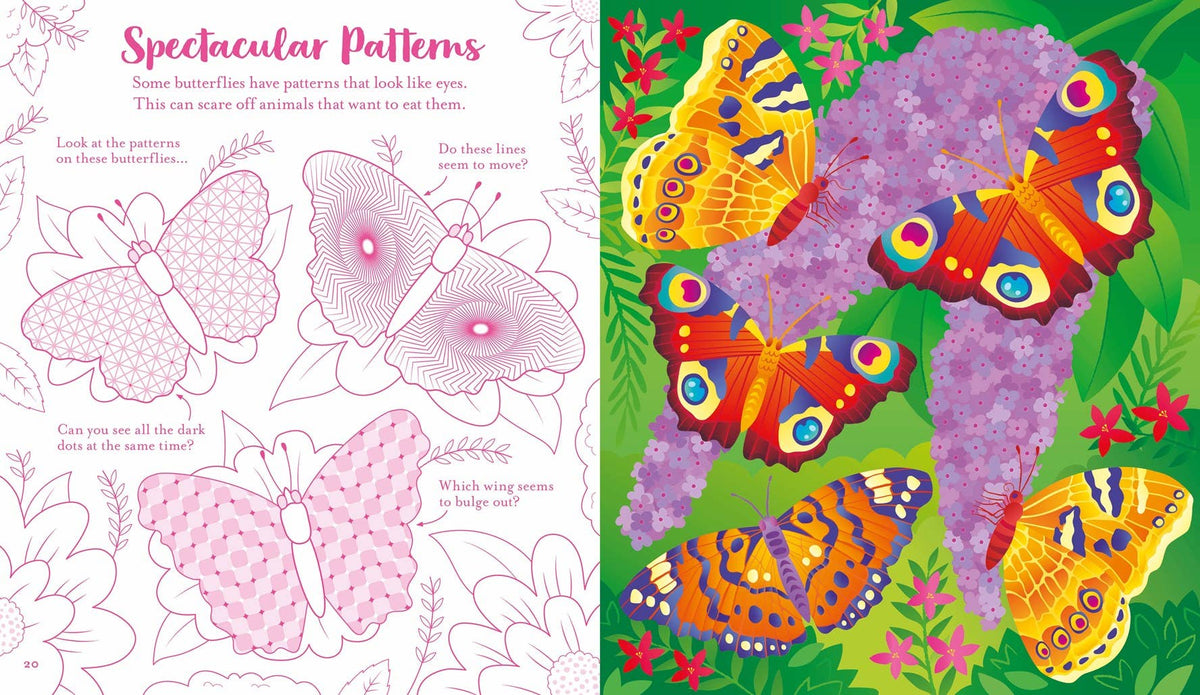 Usborne Scratch Activities Butterflies : Usborne