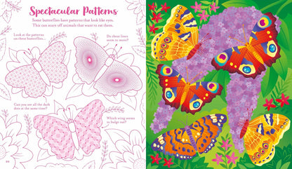 Usborne Scratch Activities Butterflies : Usborne