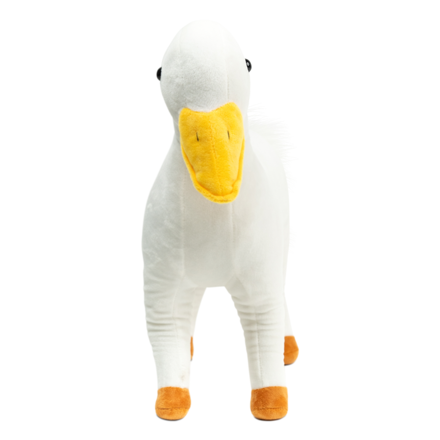 Huck Randimal