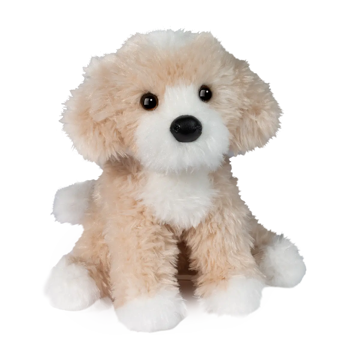 Darcy Golden Doodle Douglas