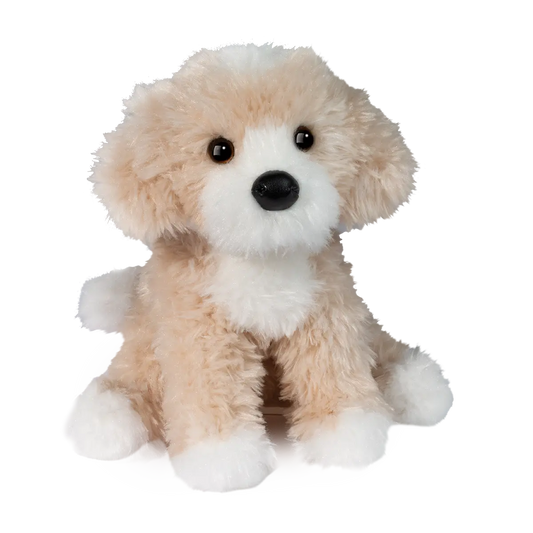 Darcy Golden Doodle Douglas