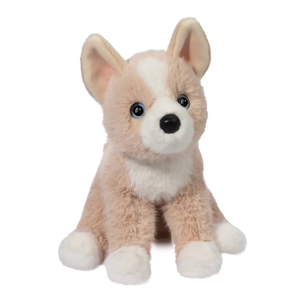 Pookie Pomsky Soft Douglas