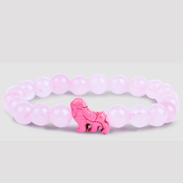 Lion Kenya Pink Excursion Fahlo
