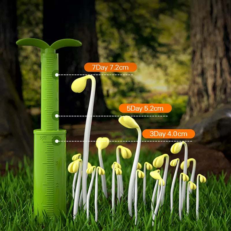 Plant Growth Station Hape