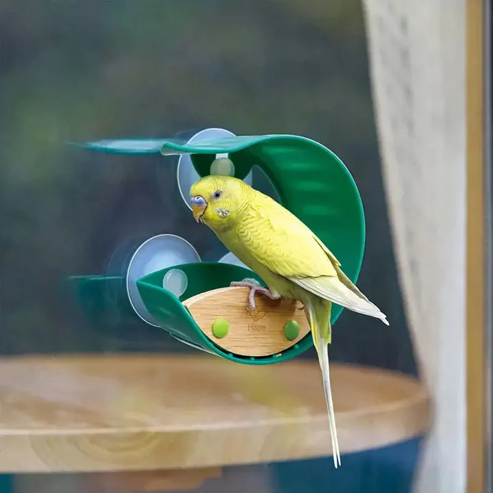 Window Bird Feeder Hape