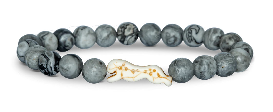 Cheetah Cloudburst Sprint