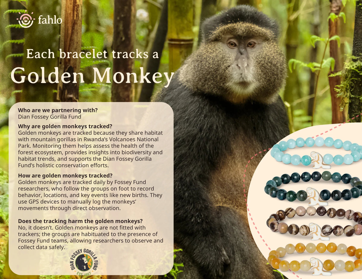 Fahlo The Swing Golden Monkey Lakeview