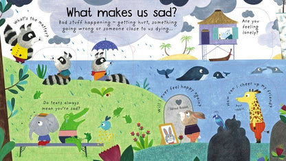 First Questions and Answers: What are Feelings?