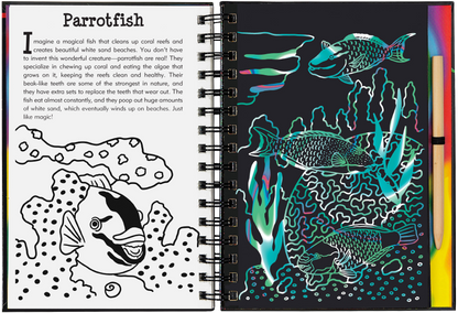 Coral Reefs Scratch and Sketch