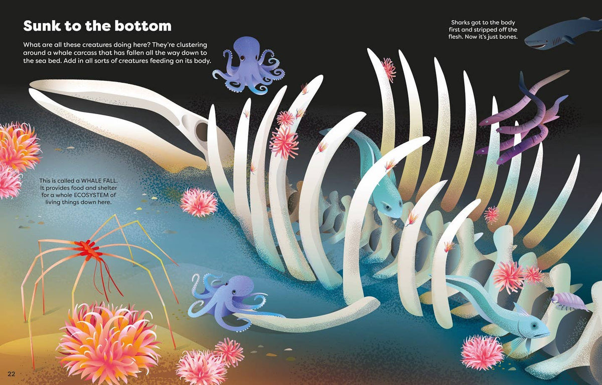 Big Sticker Book Weird Deep Sea Creatures : Usborne