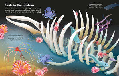 Big Sticker Book Weird Deep Sea Creatures : Usborne