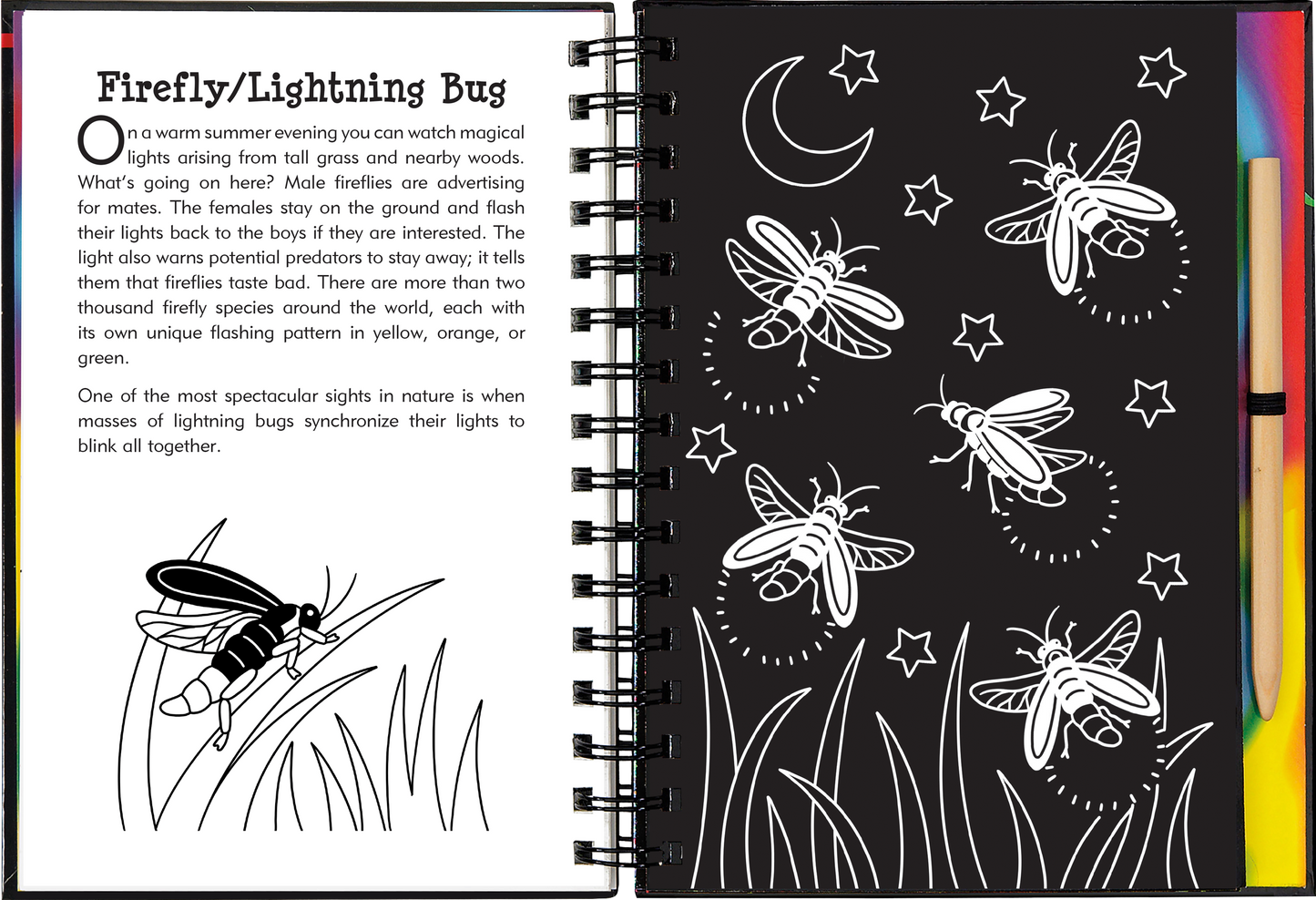 Nocturnal Animals Scratch and Sketch