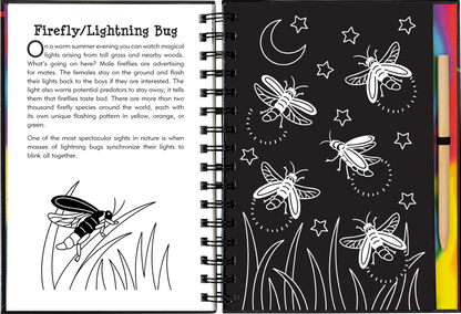 Nocturnal Animals Scratch and Sketch