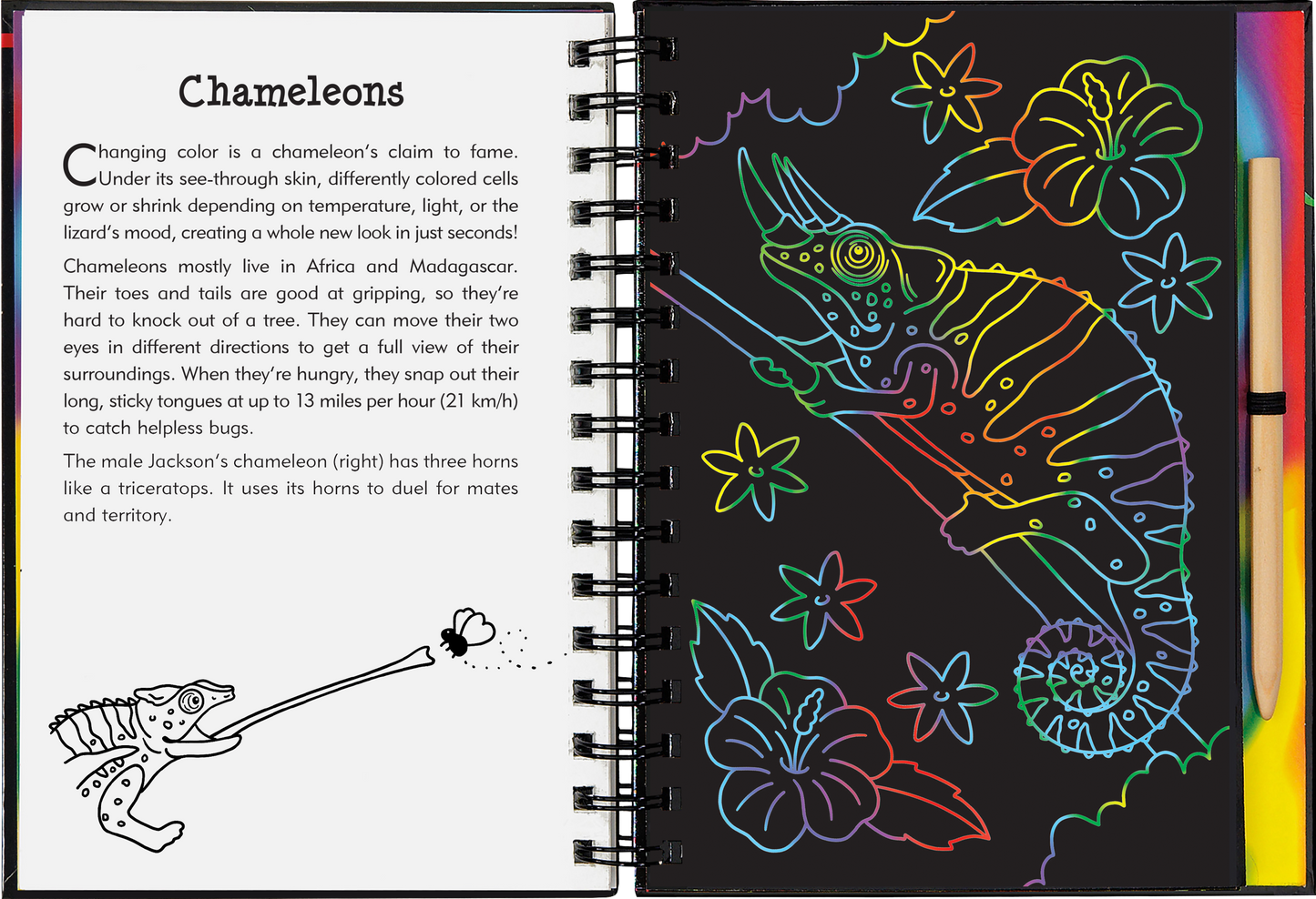 Reptiles & Amphibians Scratch and Sketch