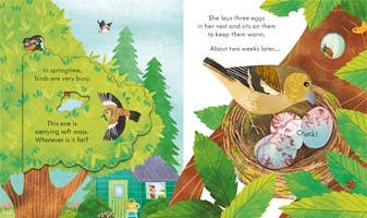 Peek Inside Springtime