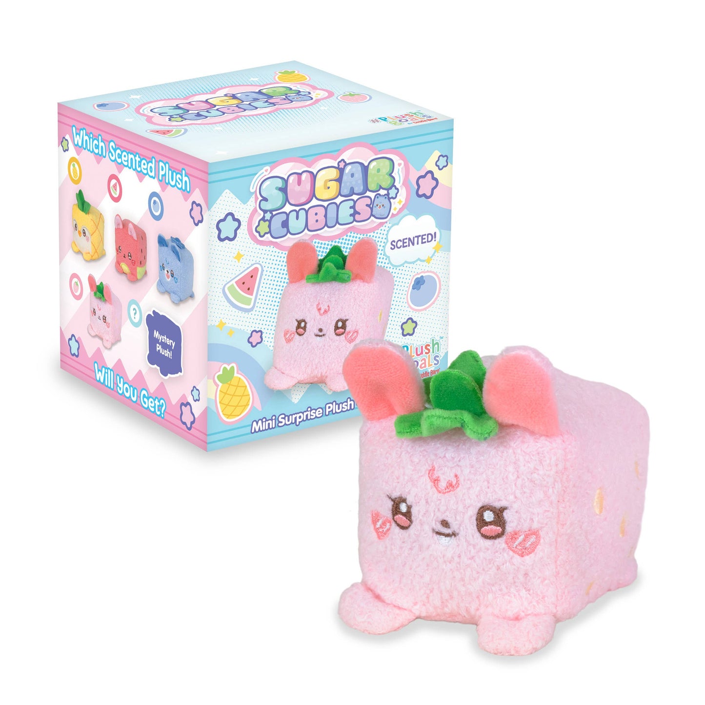 Sugar Cubies Blind Box (Series 1) (Random Scented Surprise)