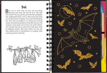 Nocturnal Animals Scratch and Sketch