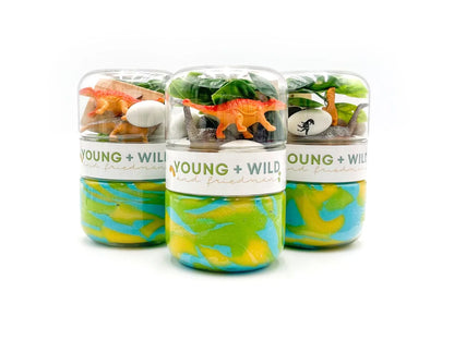Dinosaur Grab & Go Dough Jar