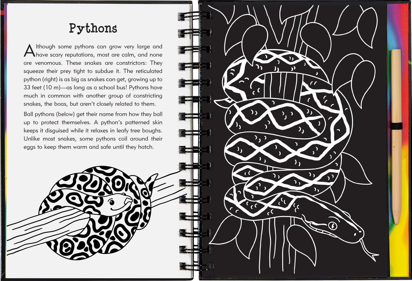 Reptiles & Amphibians Scratch and Sketch