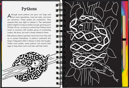 Reptiles & Amphibians Scratch and Sketch