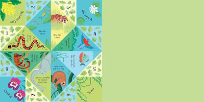 Fortune Tellers To Fold : Usborne