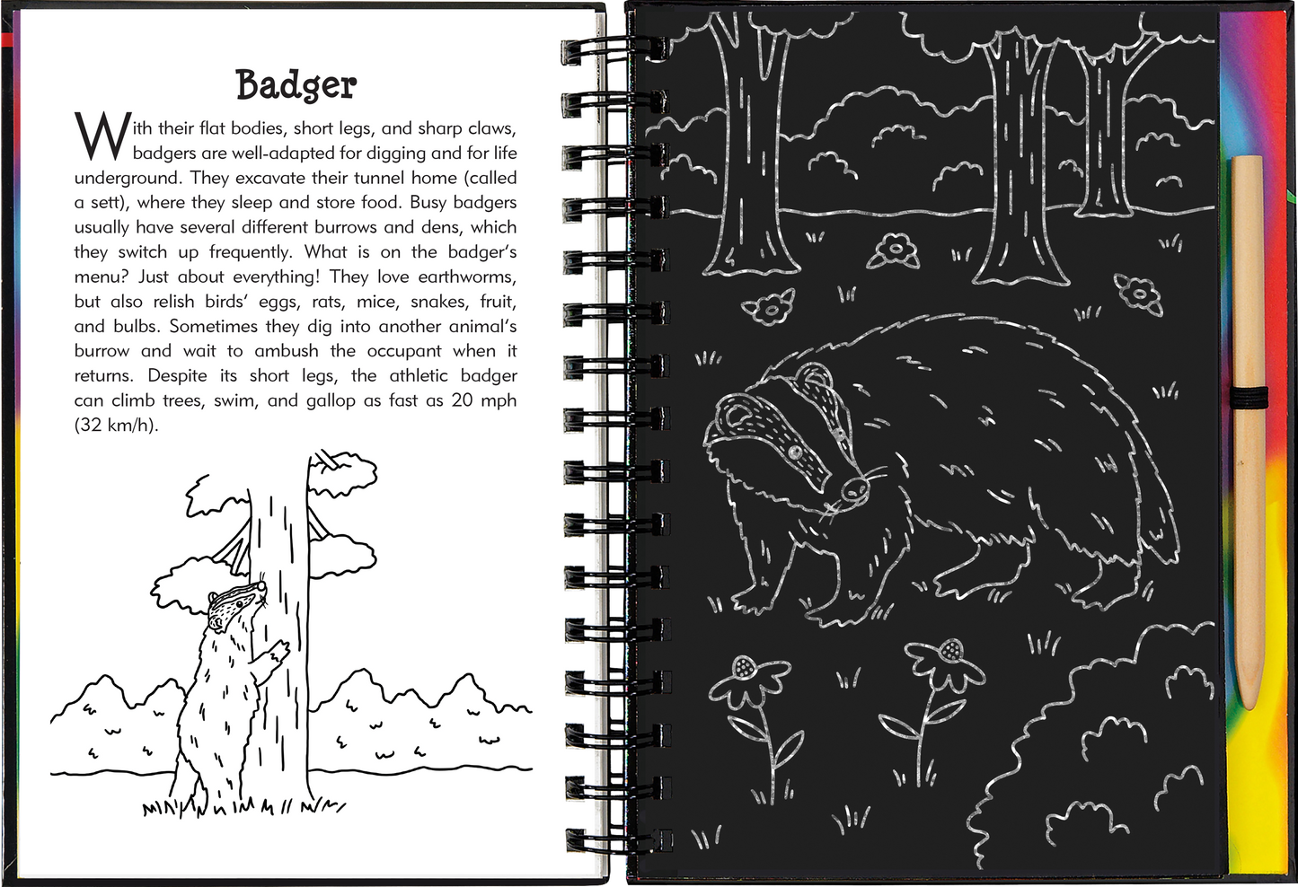 Nocturnal Animals Scratch and Sketch