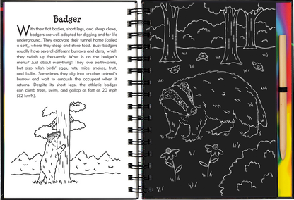 Nocturnal Animals Scratch and Sketch