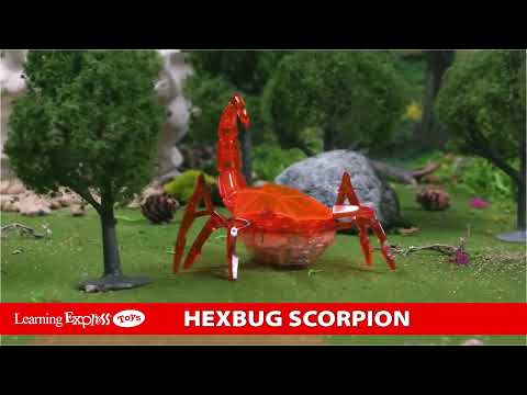 Hex Bugs Hex Scorpion