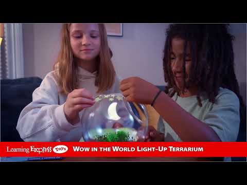 Light-Up Terrarium Wow in the World