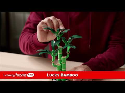 LEGO-« Botanicals 10344