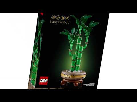 LEGO-« Botanicals 10344