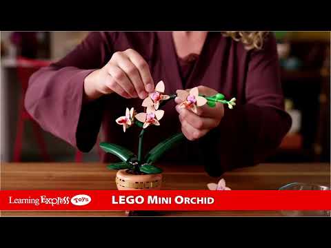 LEGO-« Botaniclas 10343