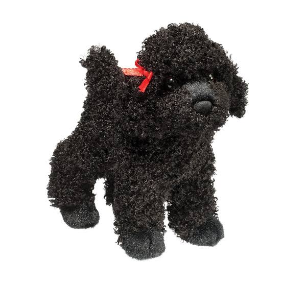 Gigi Black Poodle Douglas