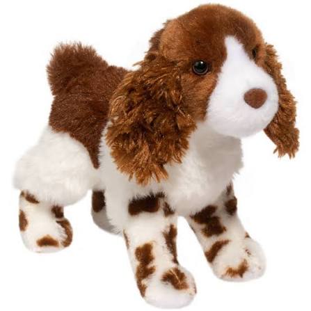 Flair Springer Spaniel Douglas