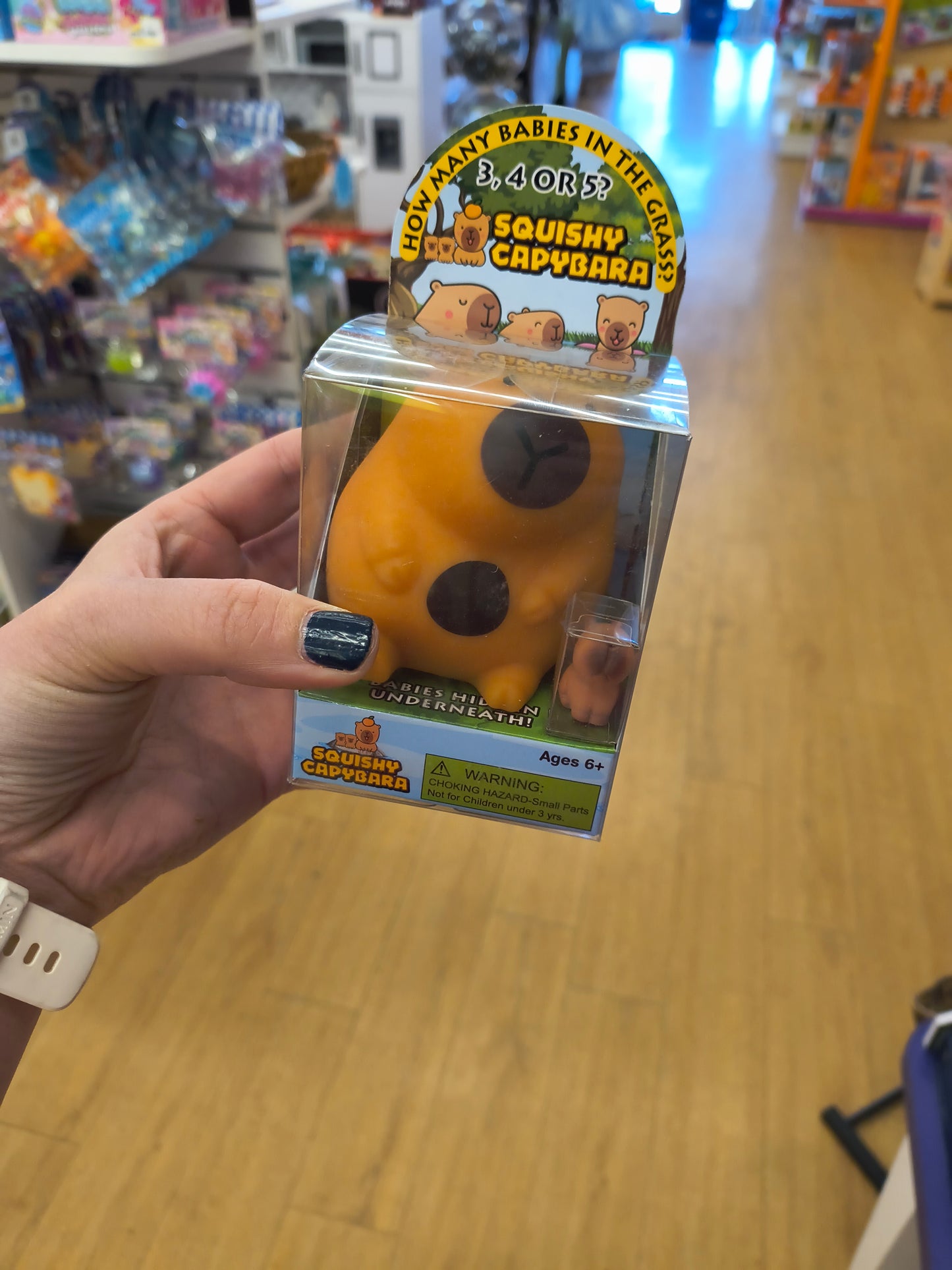 Squishy Capybara Surprise