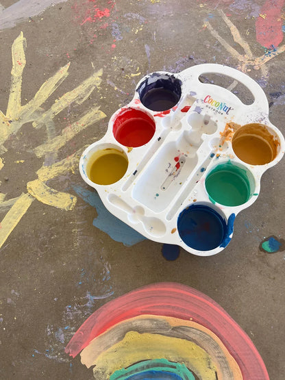 DIY Sidewalk Chalk Paint Set Salus Brands