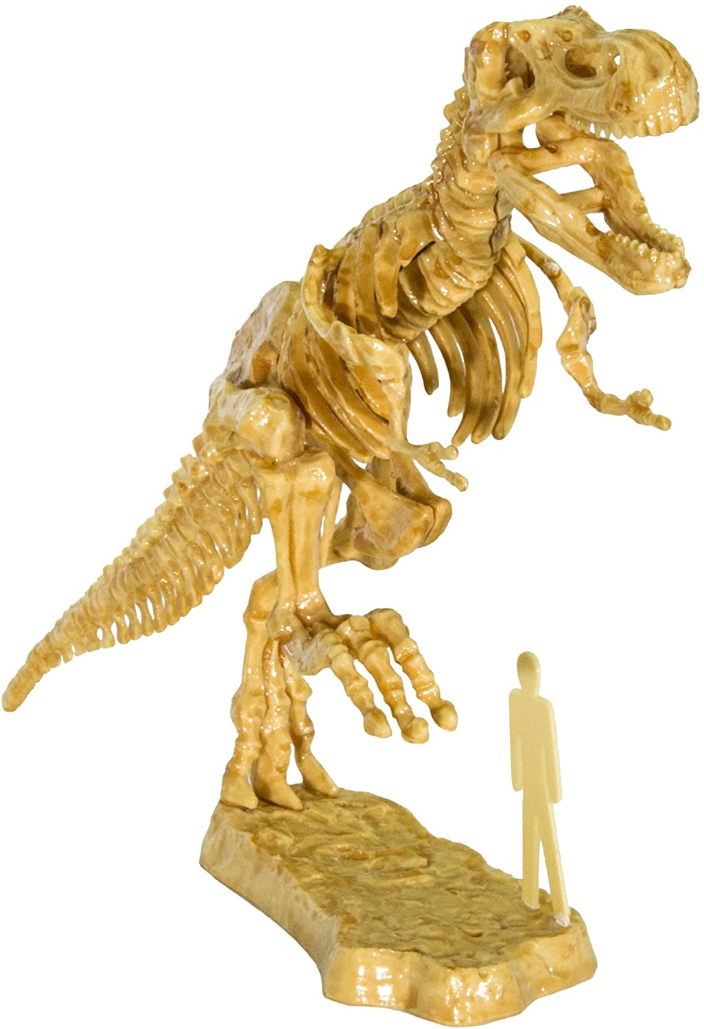 3d T-Rex Excavation Kit