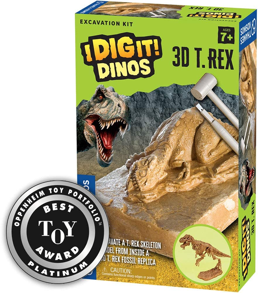 3d T-Rex Excavation Kit