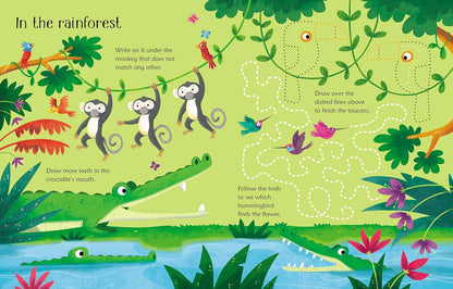 Wipe Clean Animal Activities