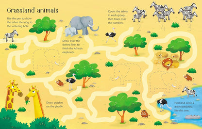 Wipe Clean Animal Activities