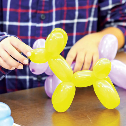 Balloon Animal Kit