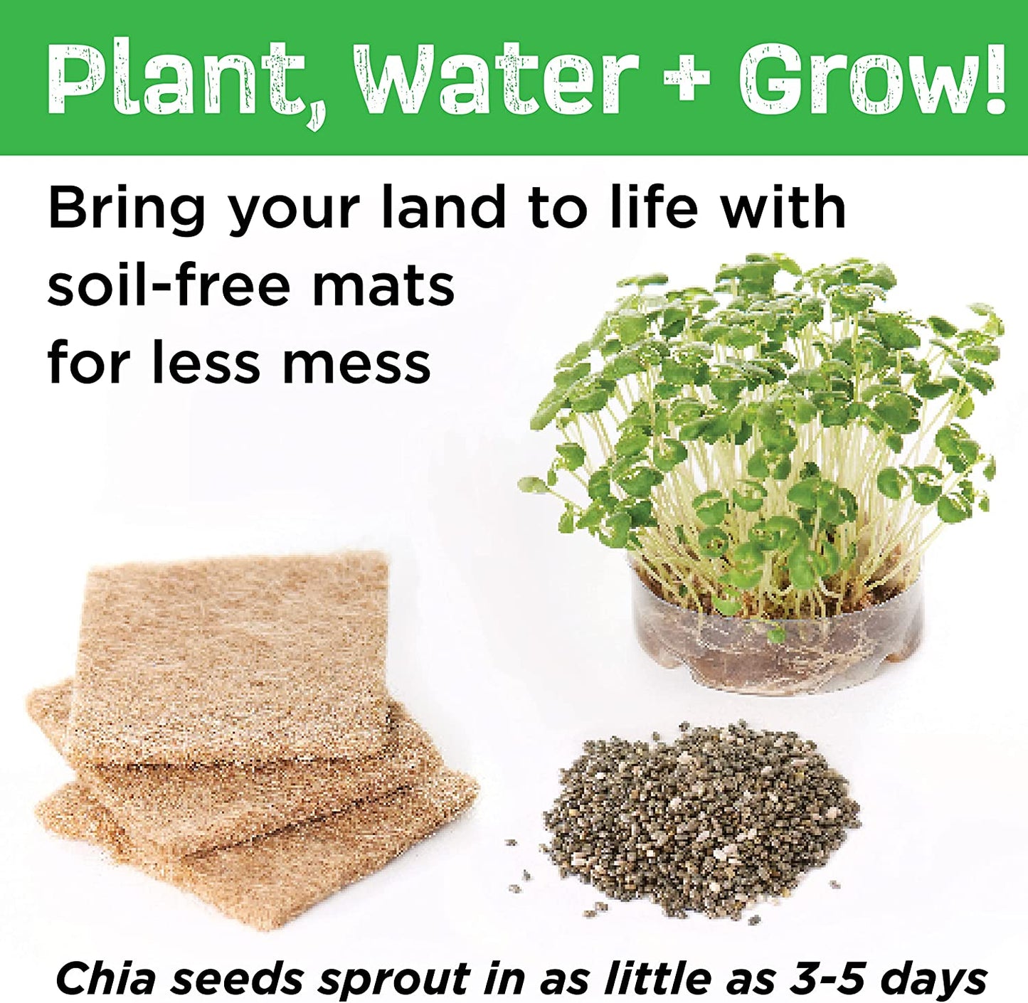 Build and Grow Magical Land