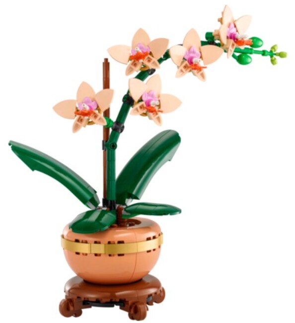 LEGO-« Botaniclas 10343