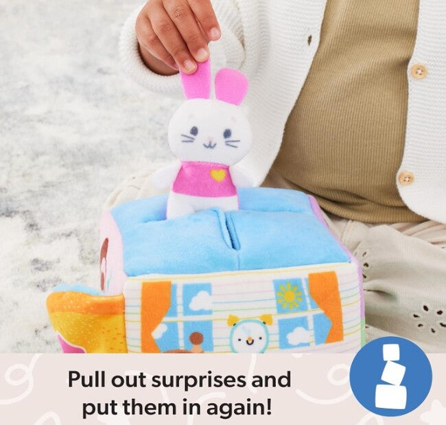 Ms. Rachel Learning Box