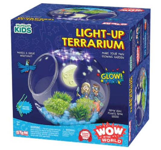 Light-Up Terrarium Wow in the World