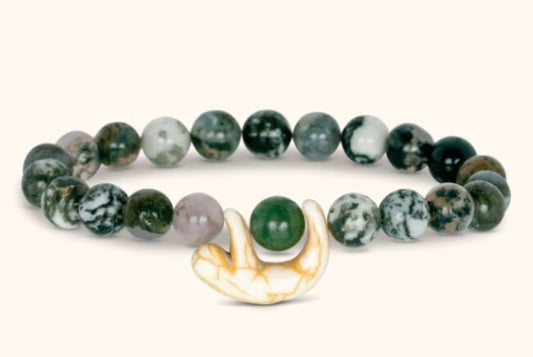 Sloth Rainforest Green Wander